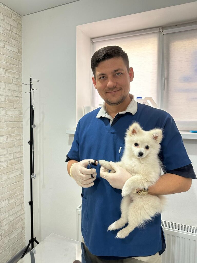 Ветеринарная клиника Ветеринарный Доктор Задорожный, Краснодар, фото