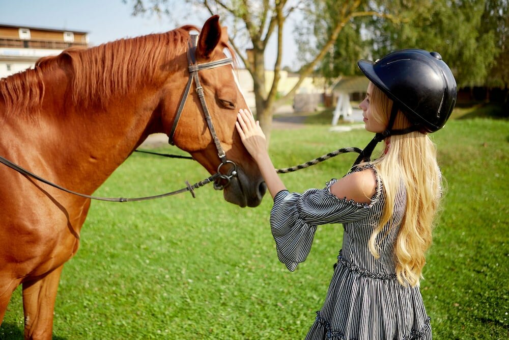 Фото New Fukujuso