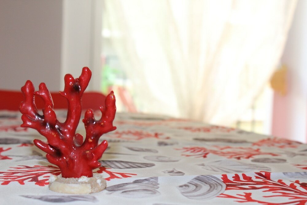 Фото BirdHouse Valencia