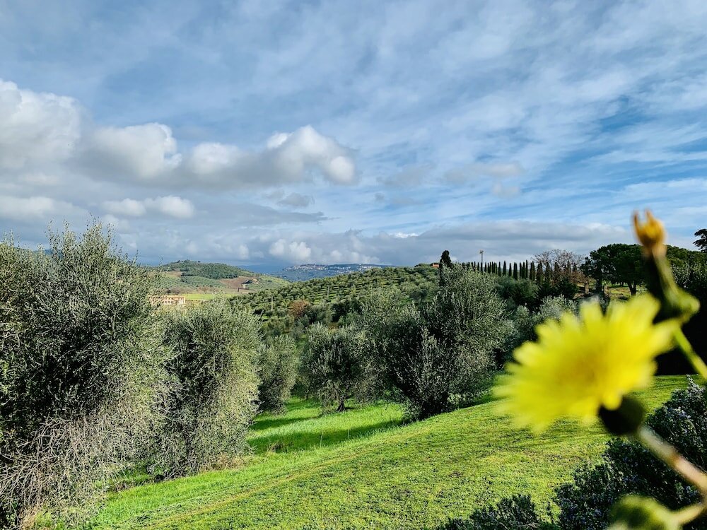 Фото Tenuta Agricola Fraschiera