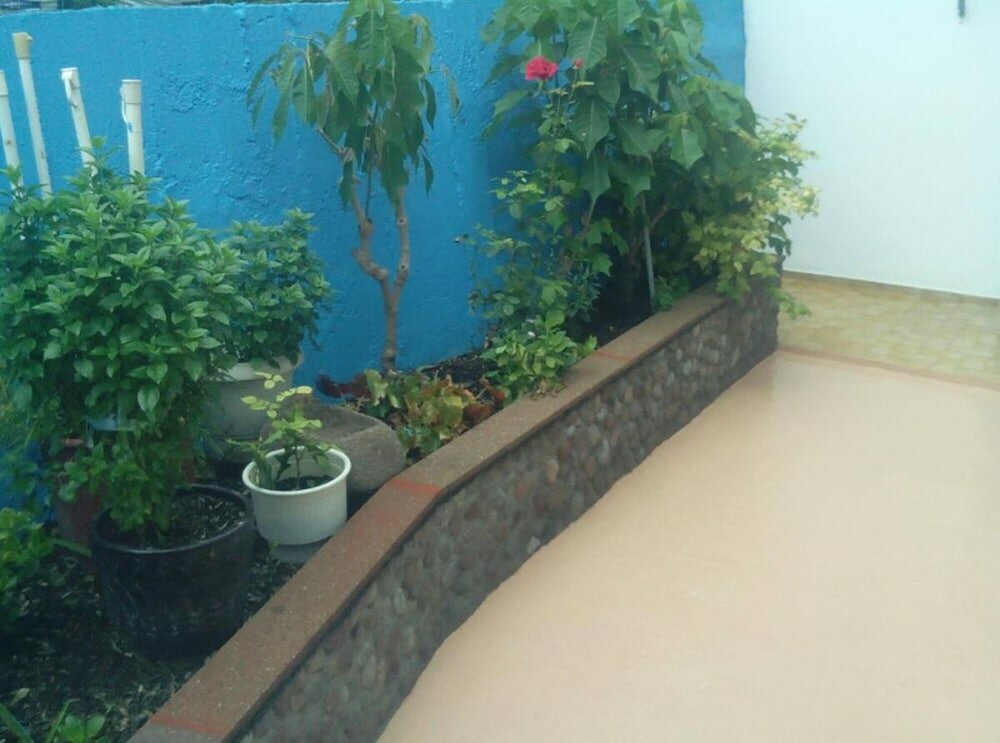 Фото Pension Gina