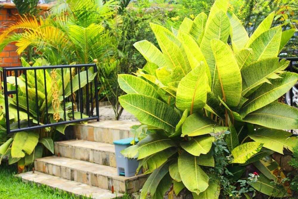 Фото Ecoair Apartment Hotel