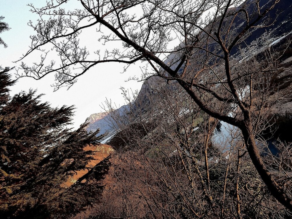 Фото Amata Valgre