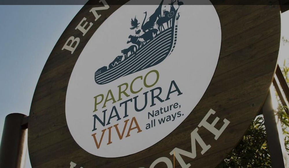 Фото B&b Mimosa e Lillà