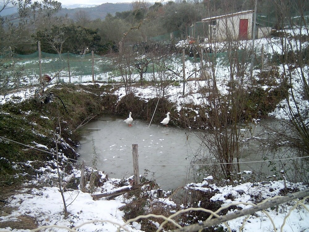 Фото Agriturismo le Cammarose