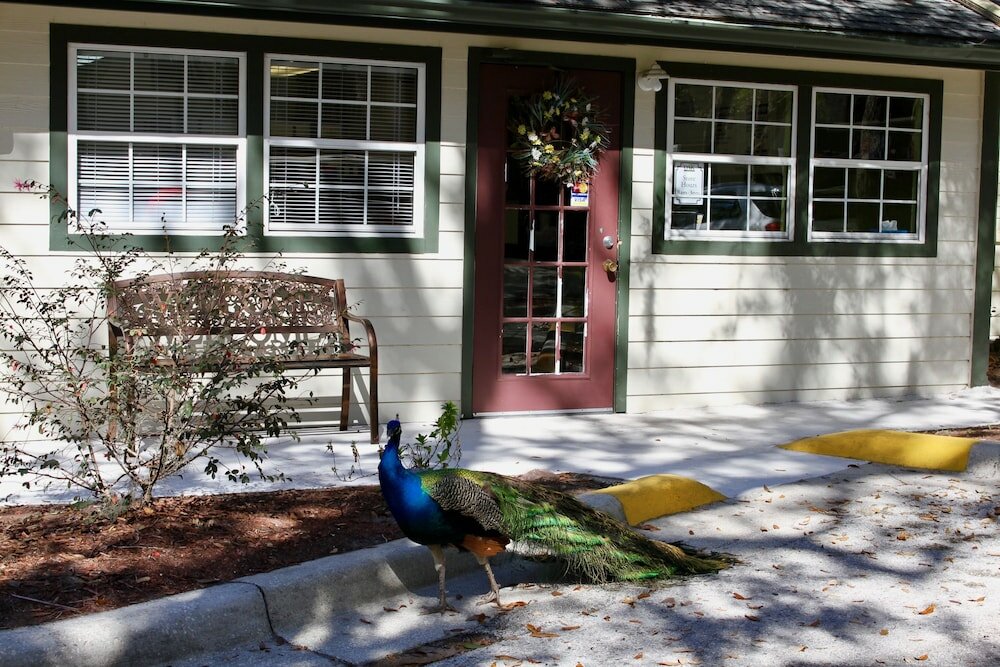 Фото Magic Holiday Villas by Me