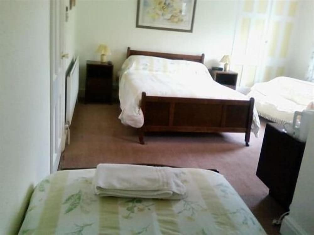 Фото The Forest Inn