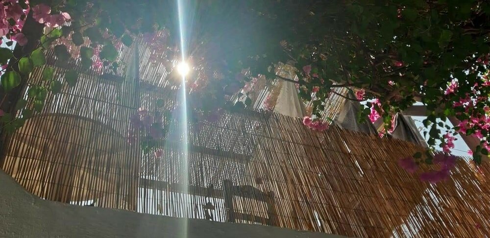 Фото Pelagos Studios