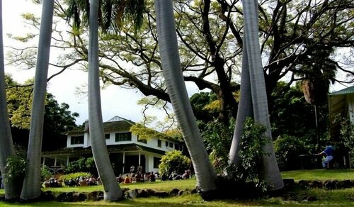 Гостиница Pahala Plantation Cottages