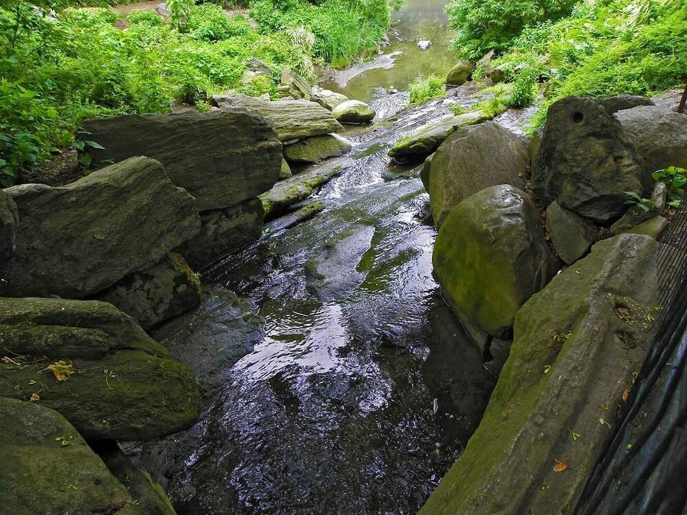 Фото The Standard East Village Hotel