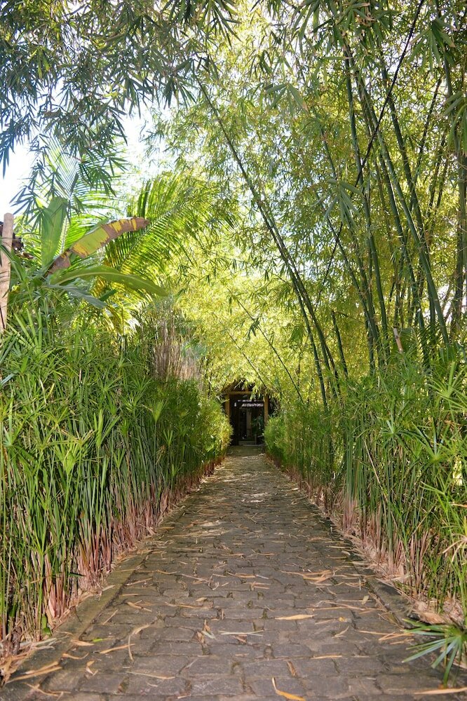 Фото Butterfly House Bahia