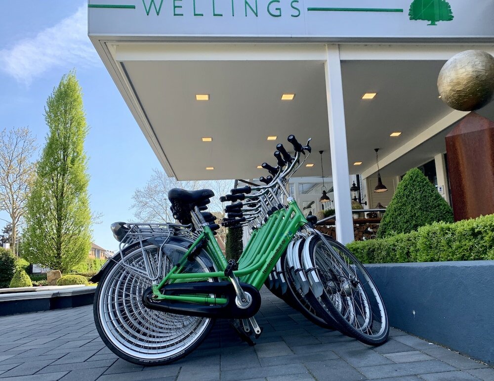 Фото Wellings Parkhotel