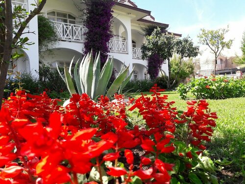 Гостиница Lykia Botanika в Даламане