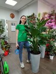 Alisa (Teplichnaya ulitsa, 62/1к4), flower shop