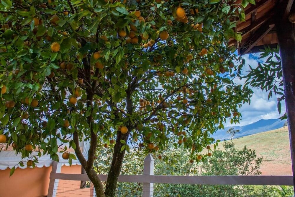 Фото Pousada Sonho Meu