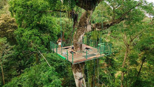 Гостиница Green Jungle House