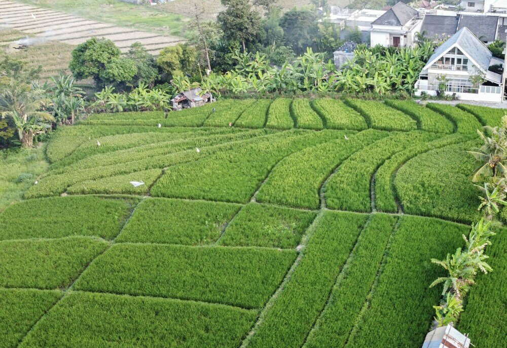 Фото Miintslice Villa