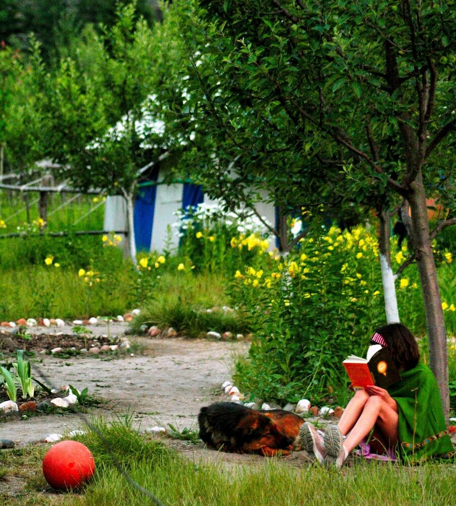 Фото Banjara Camp and Retreat Sangla