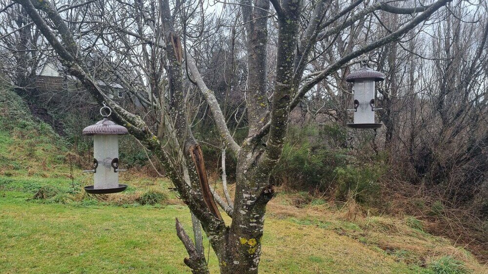 Фото 23a Leamington Street