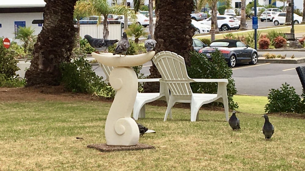 Фото Half Moon Bay Motel