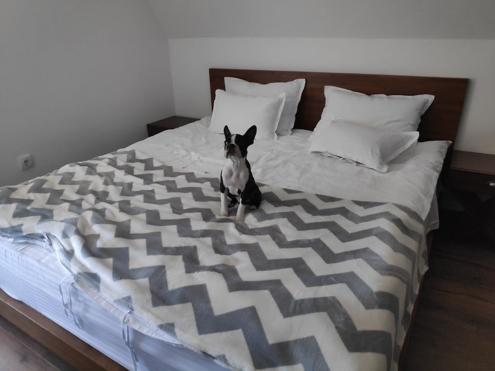 Фото Nicole Kopaonik