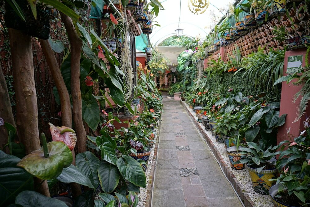 Фото Hotel Boutique Villa Bonita