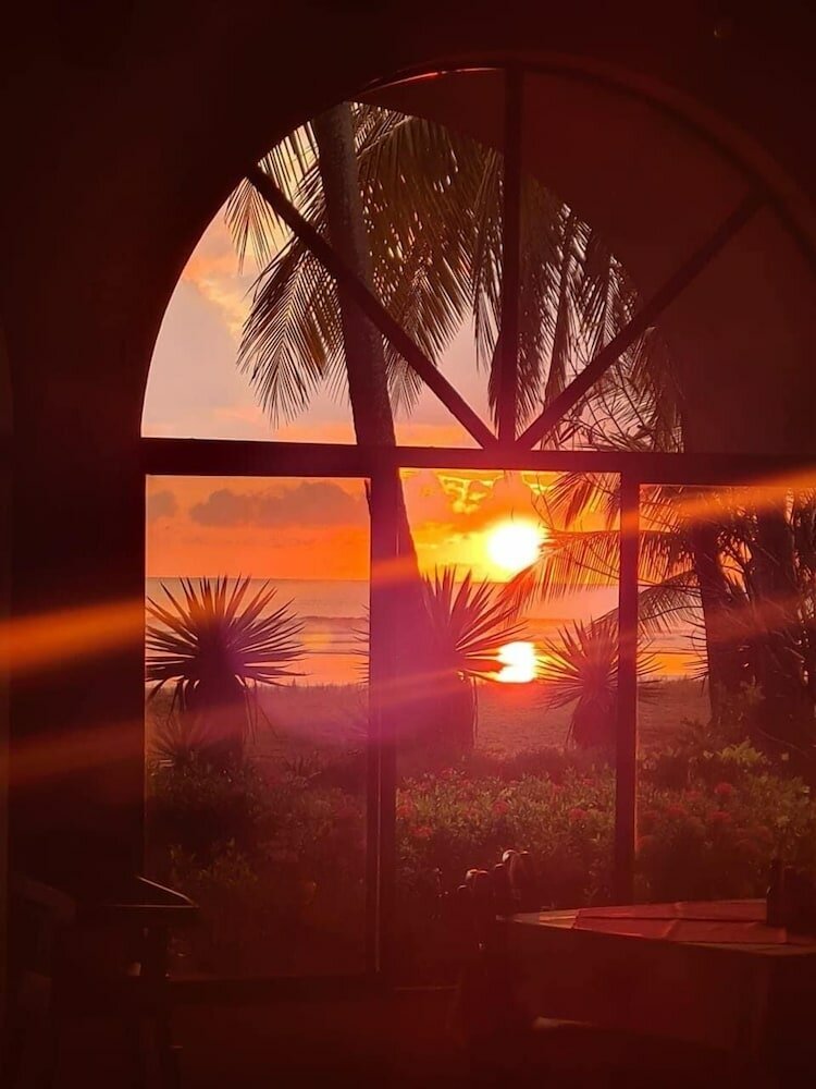 Фото Hotel Delfin Playa Bejuco