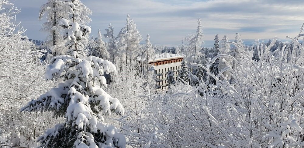 Фото Hotel Crocus