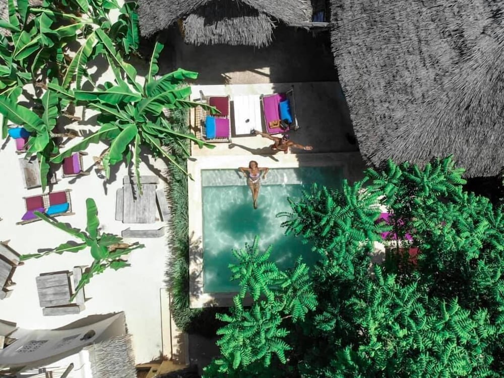 Фото Zanzistar Lodge