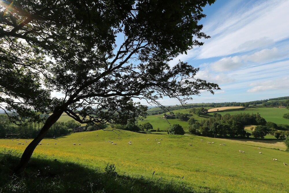 Фото Upper Gelli