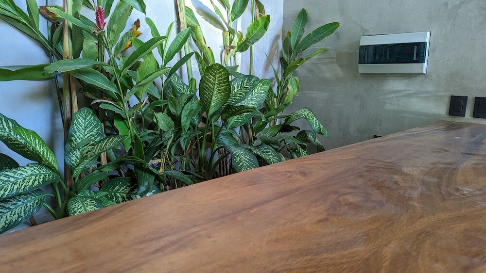 Фото Jungle Loft in Aldea Zama l Pool l Grill