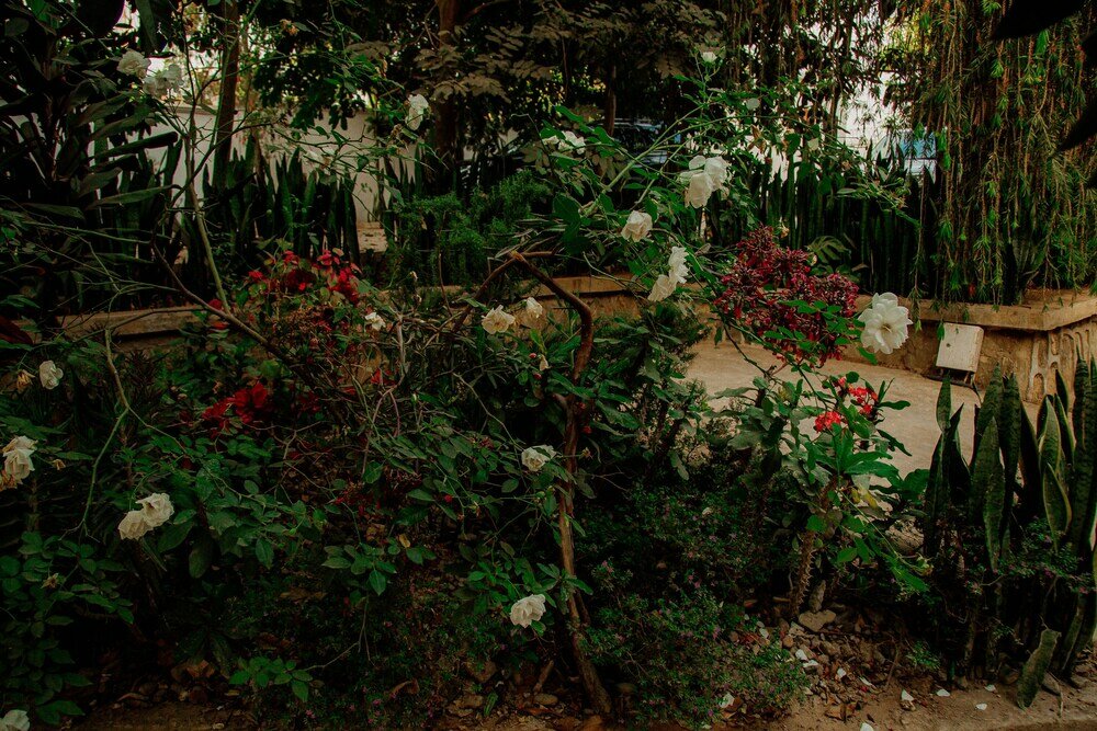 Фото Bamboo village