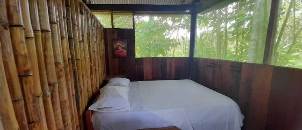 Фото Centro espiritual luz del amazonas