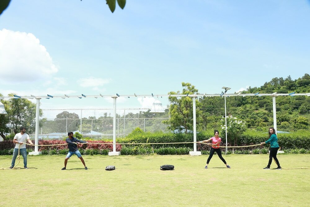 Фото SV Sky Blue Orchids