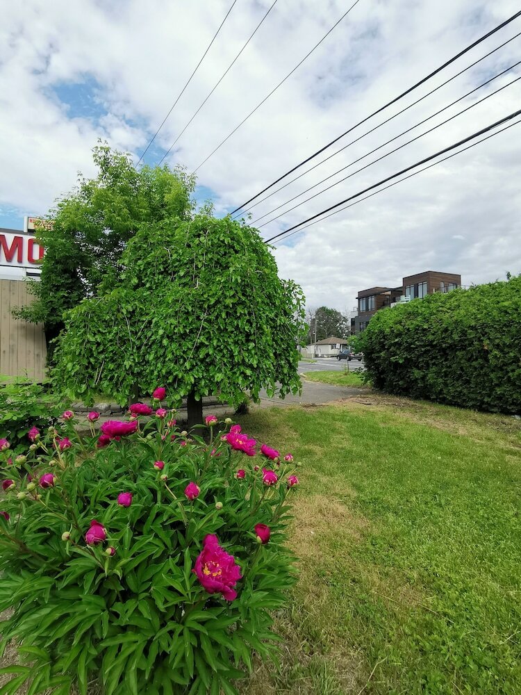 Фото Motel Sainte Catherine