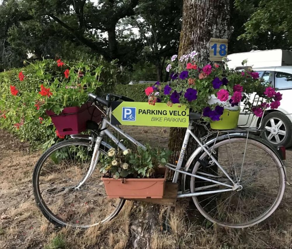 Фото Majani Breeze