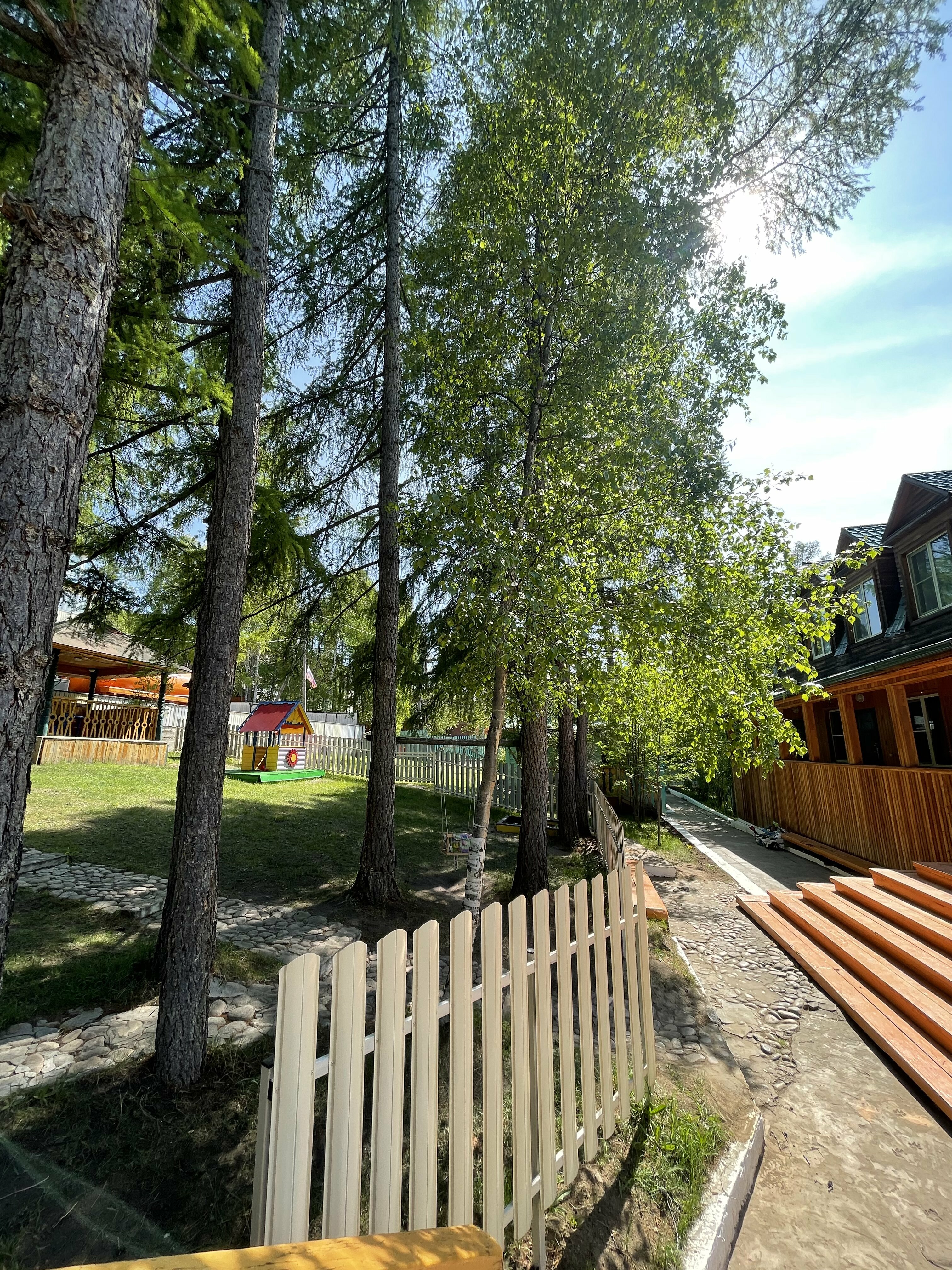 Фото Звездный