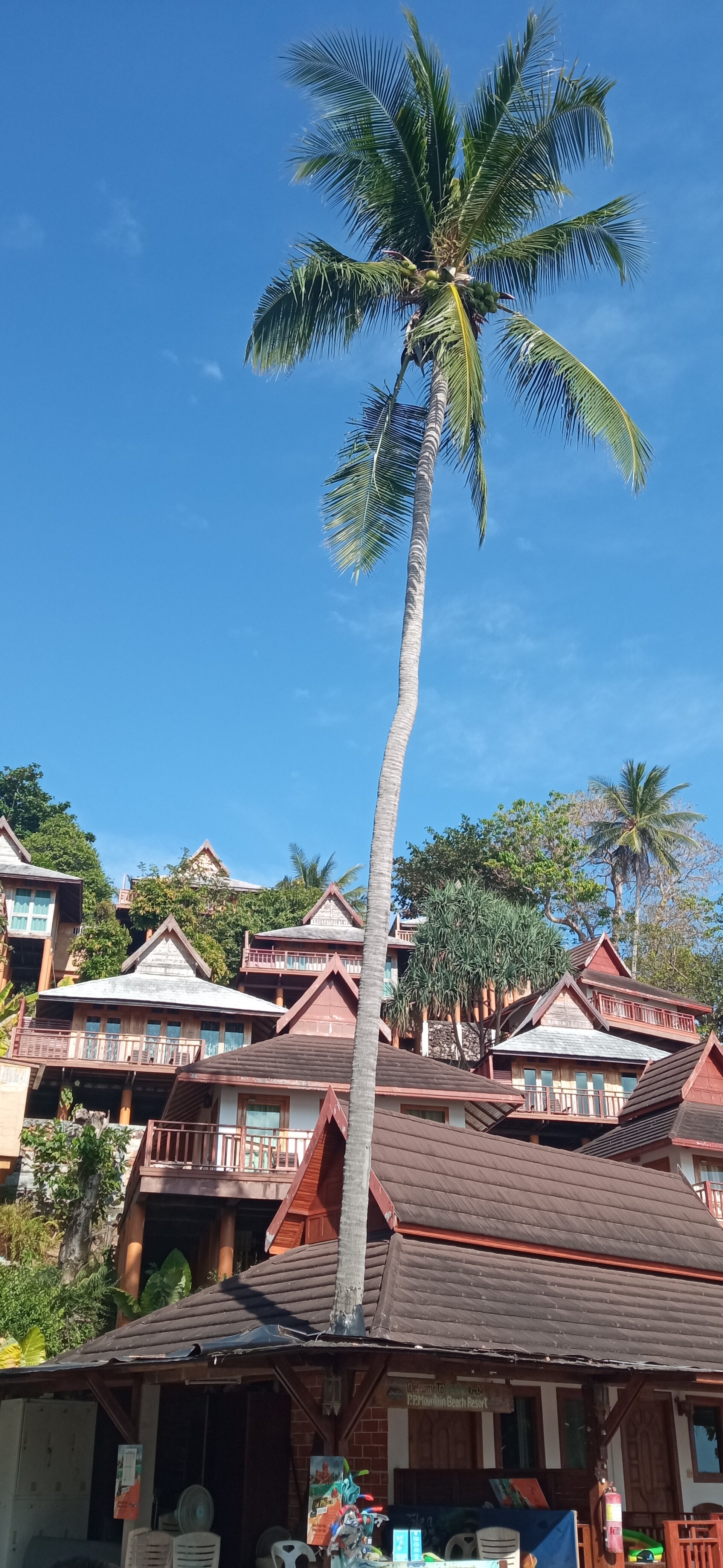 Фото Phi Phi Mountain Beach Resort