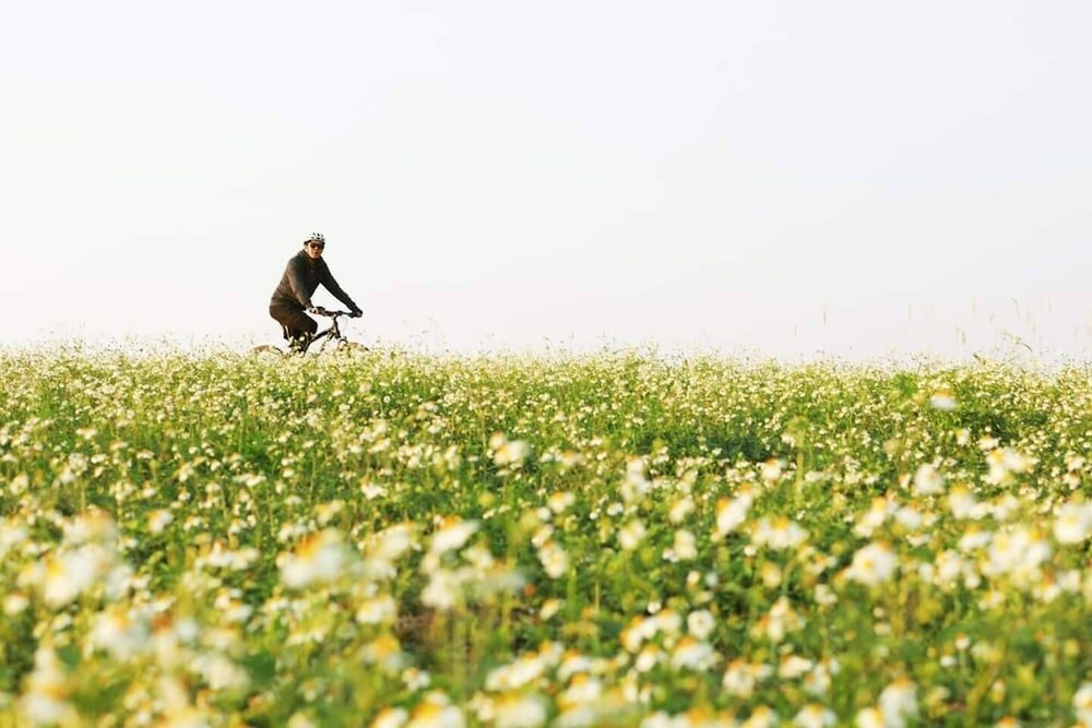 Фото Uncle Hostel