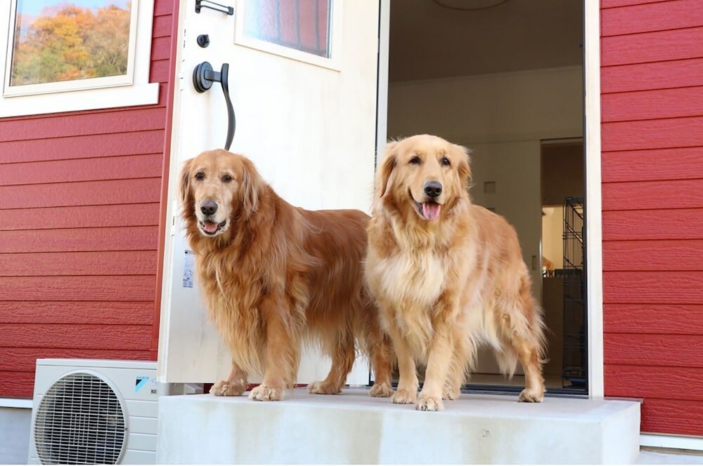 Фото Riverside Hostel B&b – Hostel