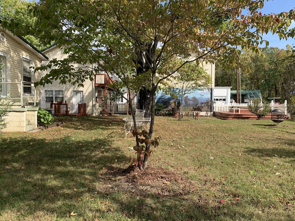 Фото The Dancing Bear Inn