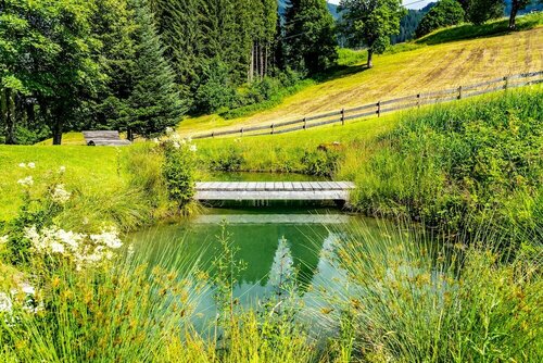 Гостиница Hotel Gemma в Форарльберге