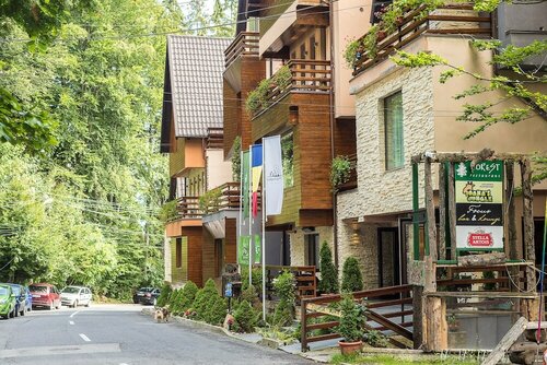 Гостиница Ioana Hotels в Синае