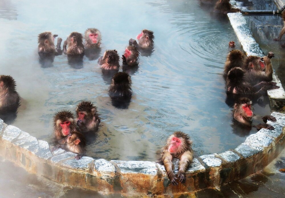 Фото Tokyu Stay Hakodate Asaichi Akarinoyu