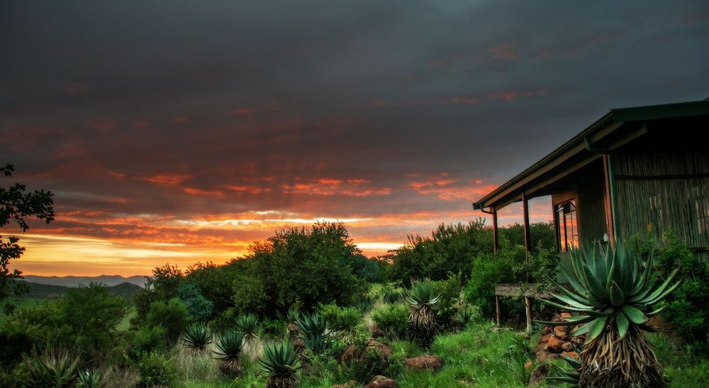 Фото Three Tree Hill