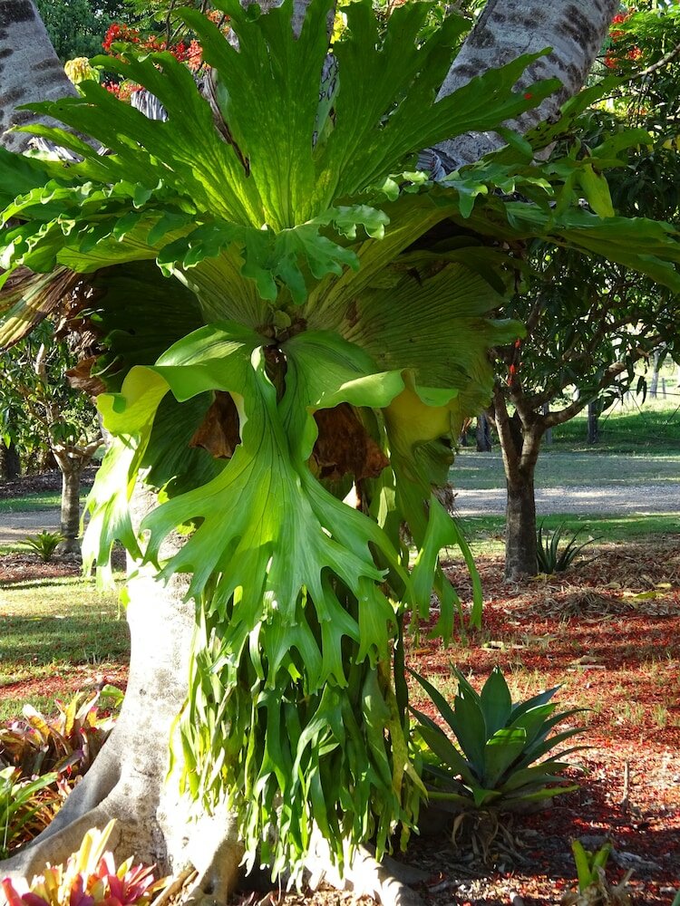 Фото Lagoon Pocket B&b