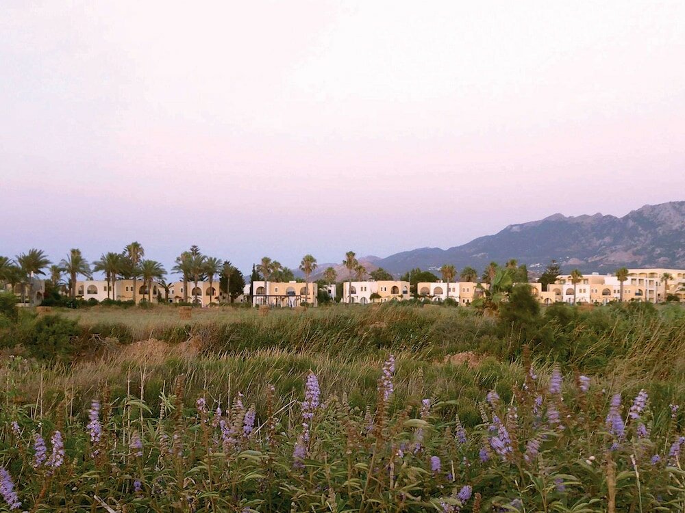 Фото Grecotel Casa Paradiso - All inclusive