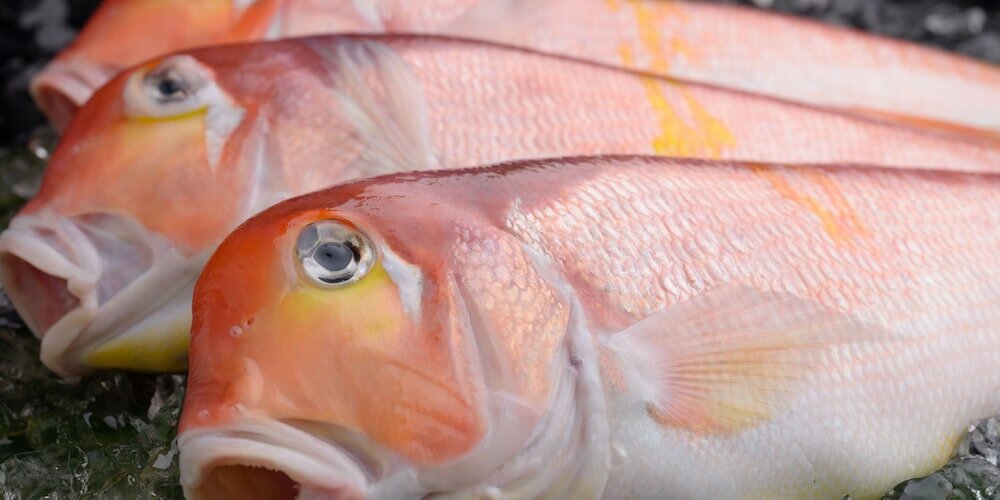 Фото Ryokan Kohro