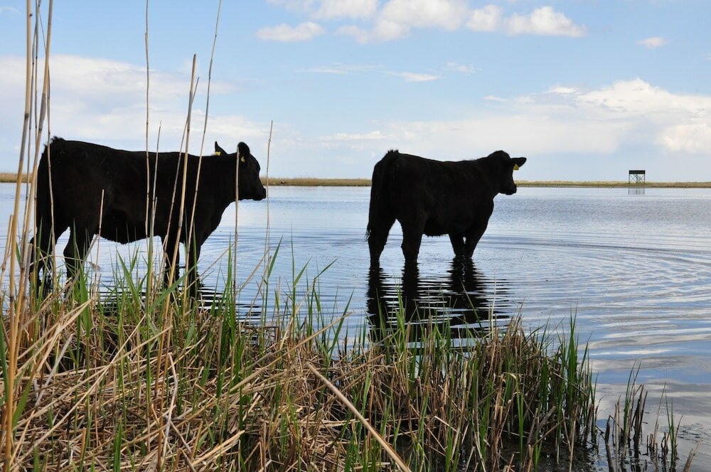 Фото Annas Hotell