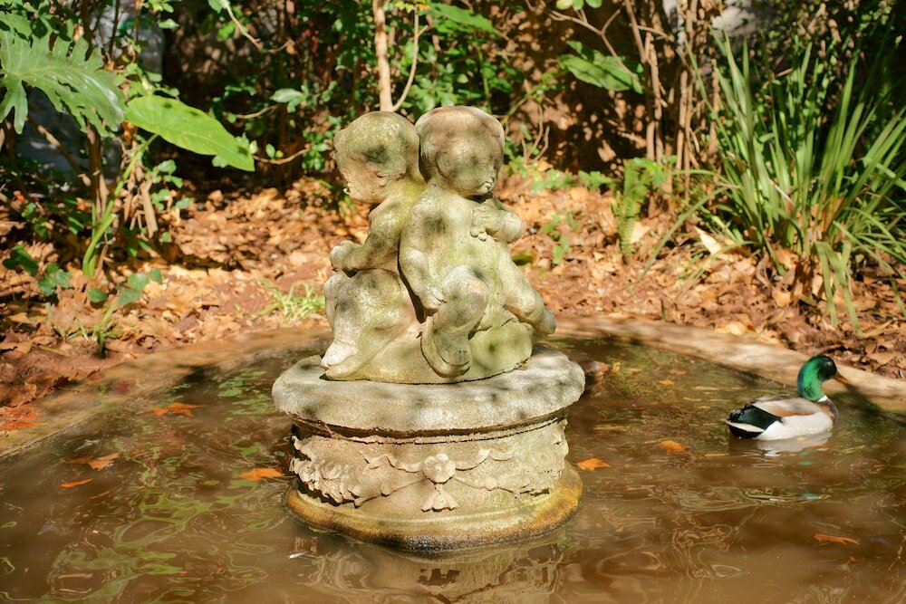 Фото Foxwood House